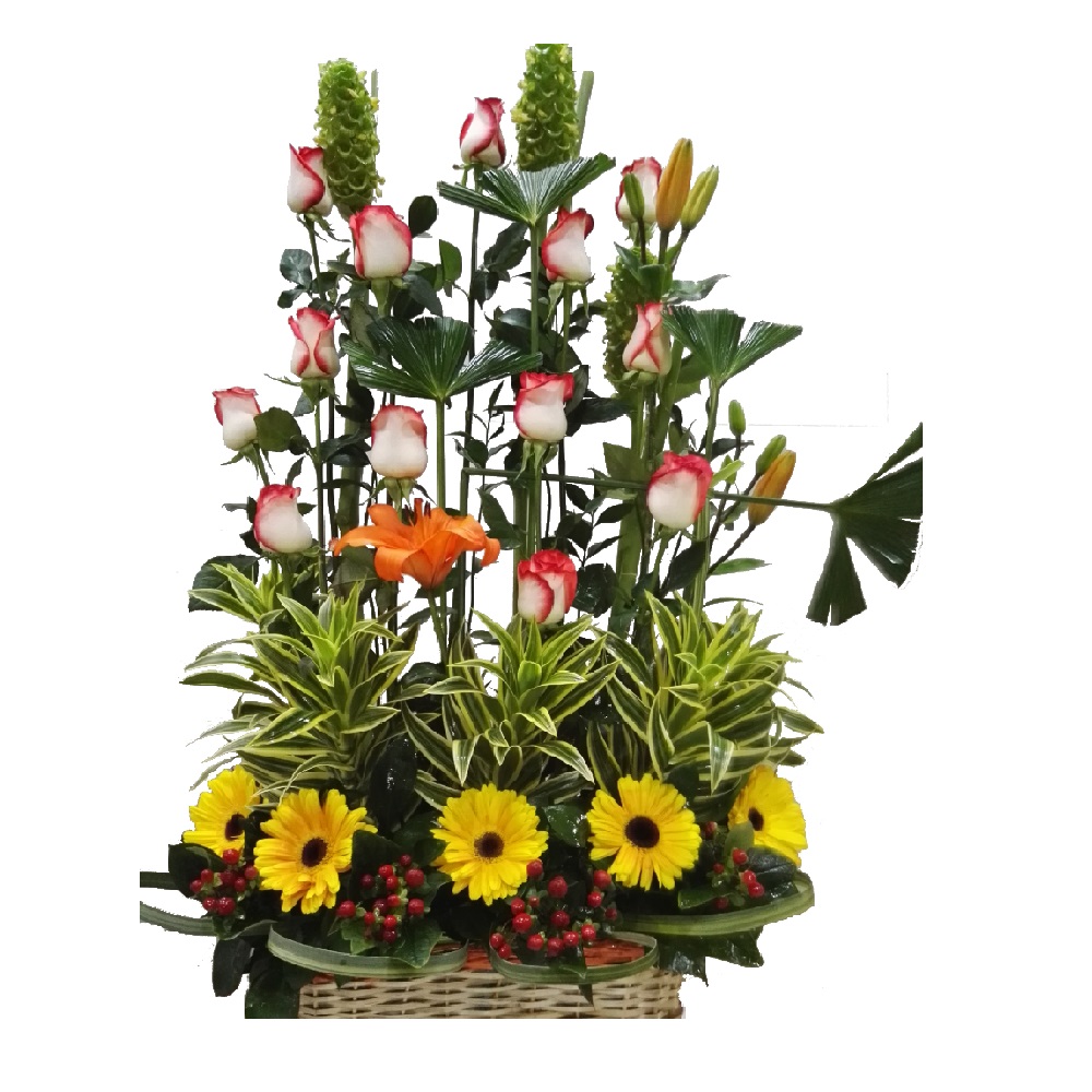 RAMO DE FLORES EN CANASTA CON 12 ROSAS Y FLORES EXOTICAS