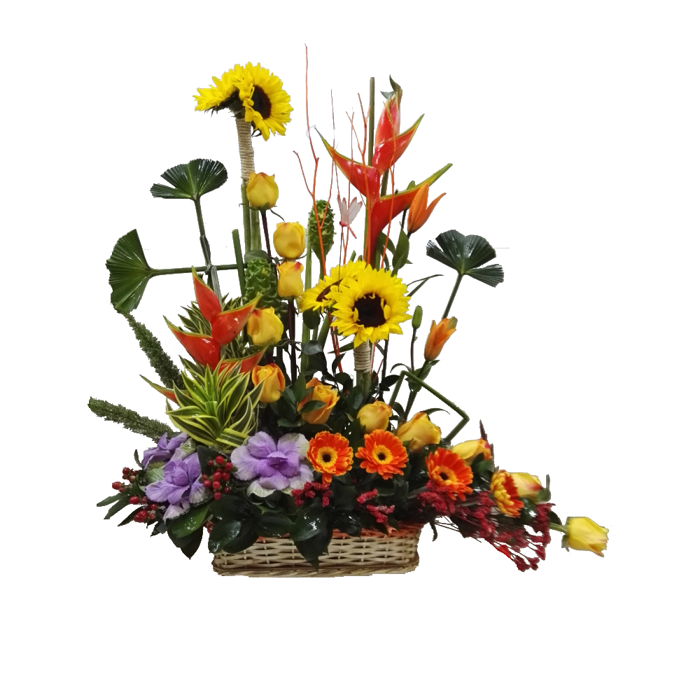 RAMO DE FLORES EN CANASTA CON 12 ROSAS Y FLORES EXOTICAS