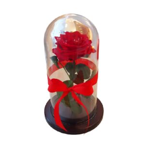 ROSA PRESERVADA ROJA